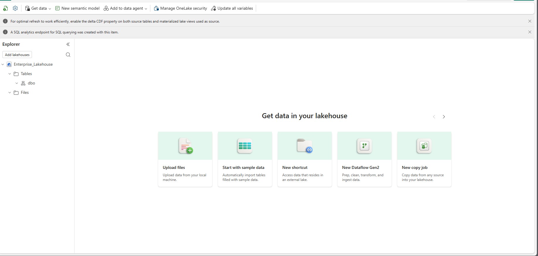 Microsoft Fabric Lakehouse data ingestion interface